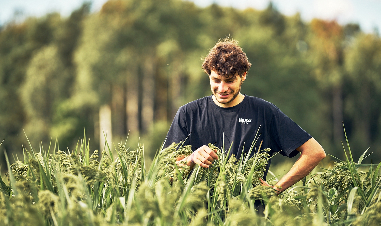 Hasta Gård fokuserar på regenerativ ekologisk odling och marken är beväxt året runt.